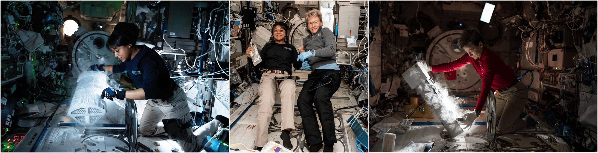 Peg and Ray 2 Peg and Ray 2